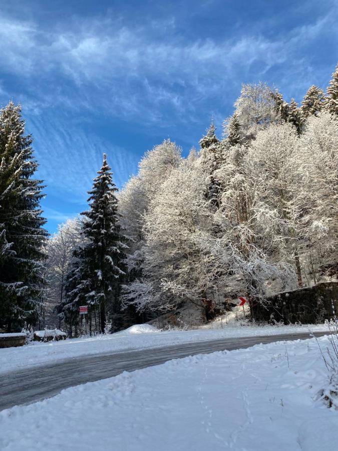 Uphill Residence Sinaia Luaran gambar