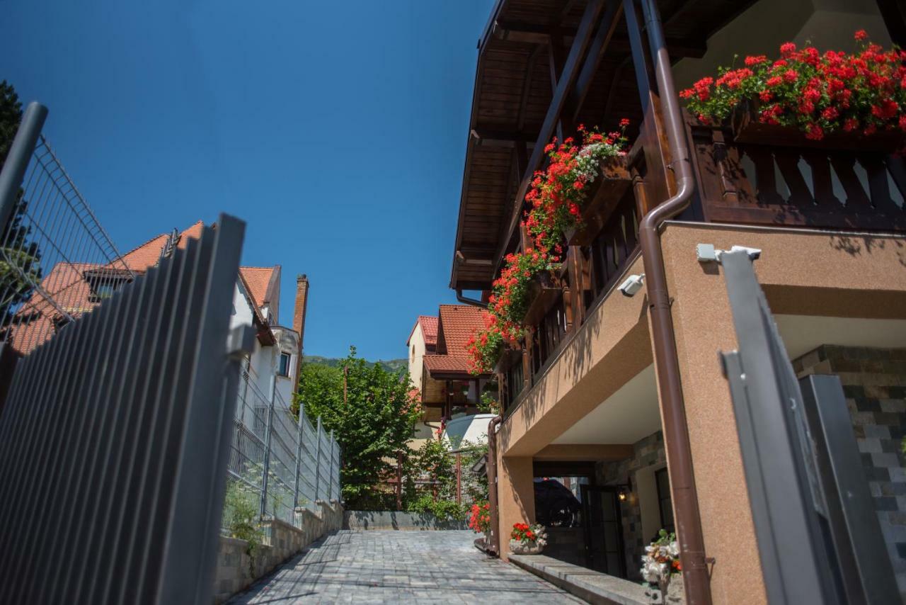 Uphill Residence Sinaia Luaran gambar