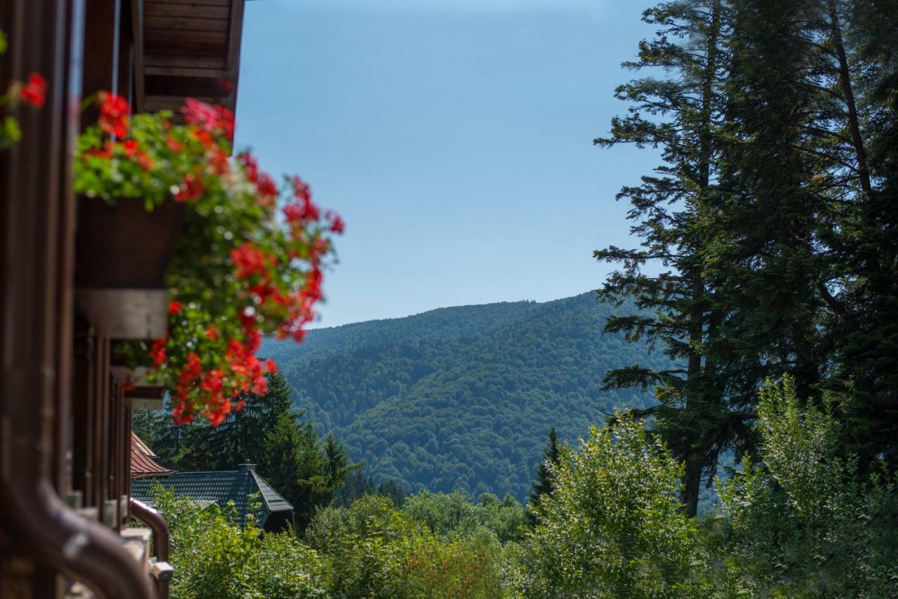 Uphill Residence Sinaia Luaran gambar